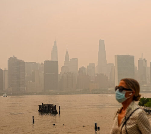 Wildfire smoke now bigger prenatal threat than human sources of air pollution