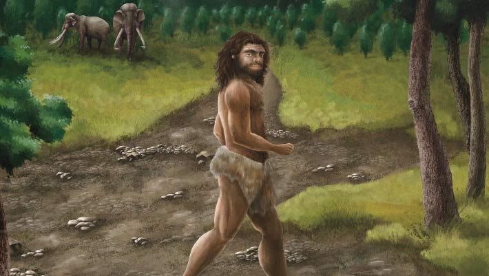 Denisovans Were Surprisingly Tall, New Fossils from Taiwan Suggest