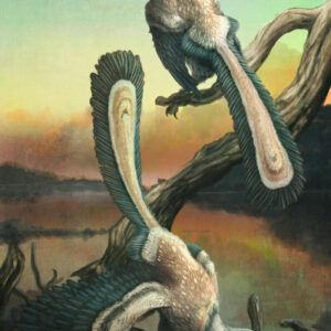 Archaeopteryx Took Off with Series of Hops, Not One Big Leap: Study