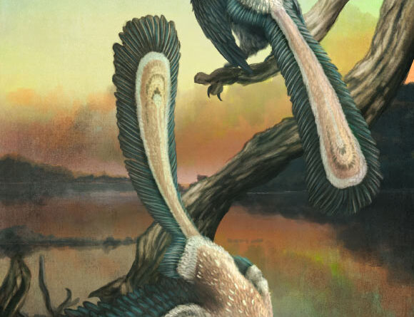 Archaeopteryx Took Off with Series of Hops, Not One Big Leap: Study