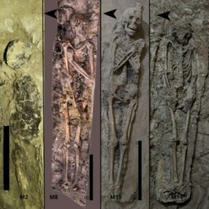 Theban tomb reveals how Egyptian burial trends evolved in time