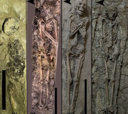 Theban tomb reveals how Egyptian burial trends evolved in time