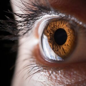 Meet the scientists 3D printing corneas to restore people’s vision, potentially filling a worldwide shortage of transplantable tissue