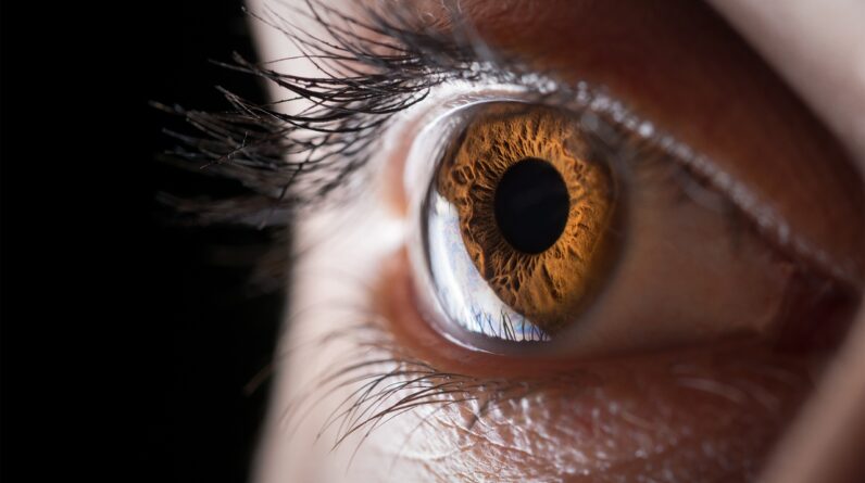 Meet the scientists 3D printing corneas to restore people’s vision, potentially filling a worldwide shortage of transplantable tissue