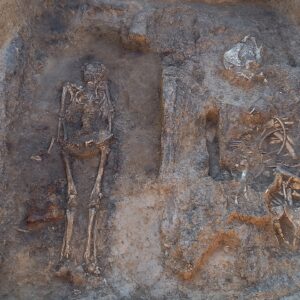 Archaeologists unearth a medieval nobleman buried with his horse and dog in a rare wooden tomb in Russia
