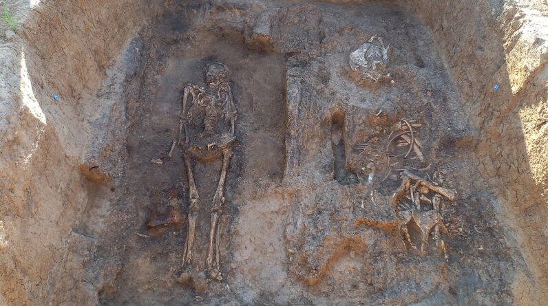 Archaeologists unearth a medieval nobleman buried with his horse and dog in a rare wooden tomb in Russia