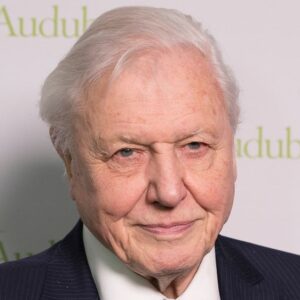 Stream the entire BBC iPlayer Attenborough collection anywhere with this top-rated VPN deal