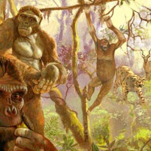 Our Ancient Ancestors May Have Climbed Trees with ‘Monkey’ Feet