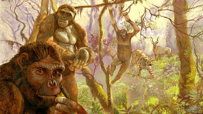 Our Ancient Ancestors May Have Climbed Trees with ‘Monkey’ Feet