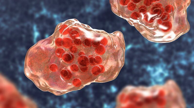 2 people die of measles in Pennsylvania as vaccination rates drop across the nation