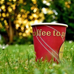 ‘Compostable’ Coffee Cups May Shed More Plastic than the Ones They’re Meant to Replace