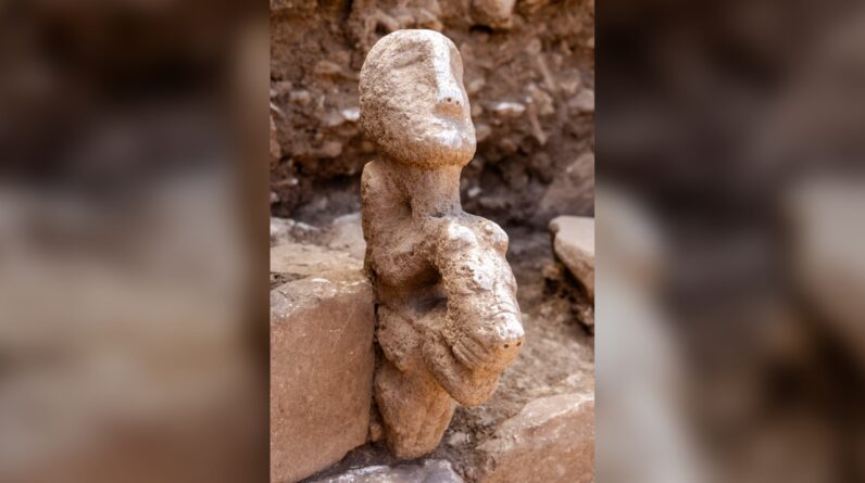 ‘Unlike anything seen before’: Archaeologists unearth a unique, 11,000-year-old statue of a person riding a leopard from one of the world’s earliest settlements