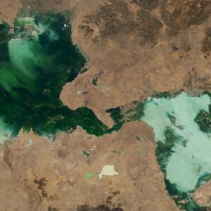 Ghostly green lakes merge in Australian outback after 2 years of heavy rain — Earth from space
