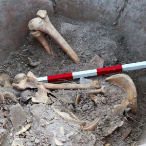 1,600-year-old skeleton found in a giant jar in Bulgaria may belong to Roman who hid there to escape enemy attack