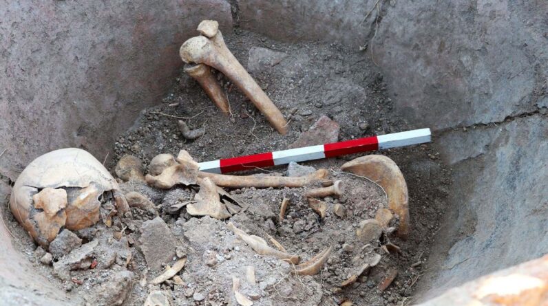 1,600-year-old skeleton found in a giant jar in Bulgaria may belong to Roman who hid there to escape enemy attack