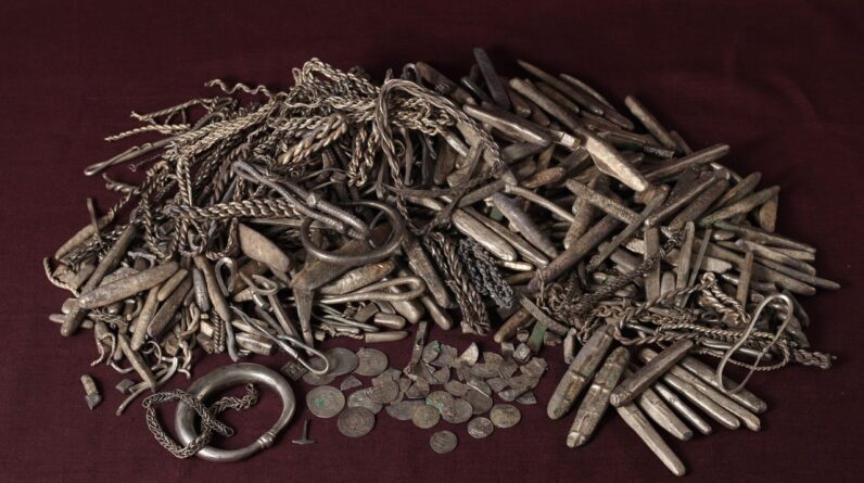 ‘Biggest surprise of my life’: Homeowner discovers Denmark’s largest Viking Age silver hoard in their backyard