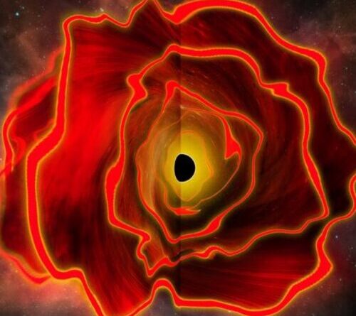Research roundup: 7 cool science stories we almost missed