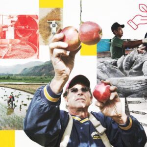 ‘The apple you eat isn’t the apple your granddaughter will eat’: What’s on the menu in a warming world?