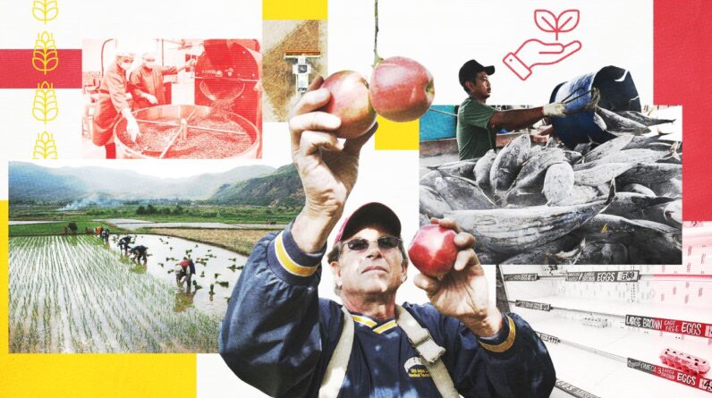 ‘The apple you eat isn’t the apple your granddaughter will eat’: What’s on the menu in a warming world?