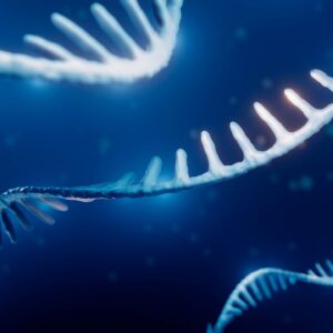 Aging doesn’t look the same for everyone at the molecular level — it’s ‘individualized and context-dependent’