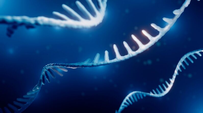 Aging doesn’t look the same for everyone at the molecular level — it’s ‘individualized and context-dependent’