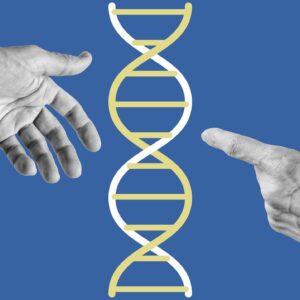 Author Lise Barnéoud on the bizarre and provoking world of microchimerism — when cells from one person live in another, genetically distinct individual