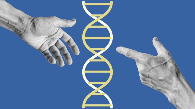 Author Lise Barnéoud on the bizarre and provoking world of microchimerism — when cells from one person live in another, genetically distinct individual