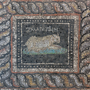 Stunning Roman-era mosaic discovered in Turkey features ‘Emerald’ the cat and ‘Ocean’ the dog