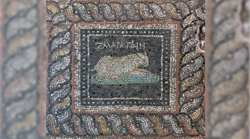 Stunning Roman-era mosaic discovered in Turkey features ‘Emerald’ the cat and ‘Ocean’ the dog