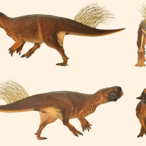 115-Million-Year-Old Dinosaur Fossil Recovered from Deep Drill Core in China