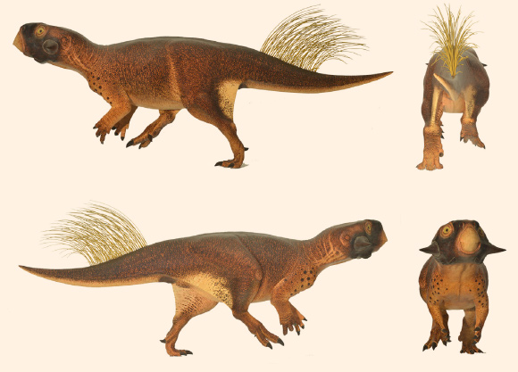 115-Million-Year-Old Dinosaur Fossil Recovered from Deep Drill Core in China