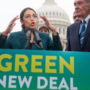 ‘Drops in the ocean can make waves’: How the grassroots climate movement took off in the US