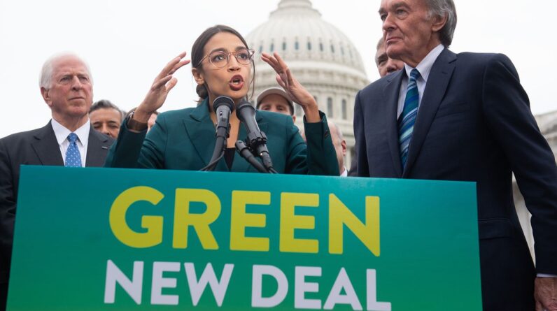‘Drops in the ocean can make waves’: How the grassroots climate movement took off in the US