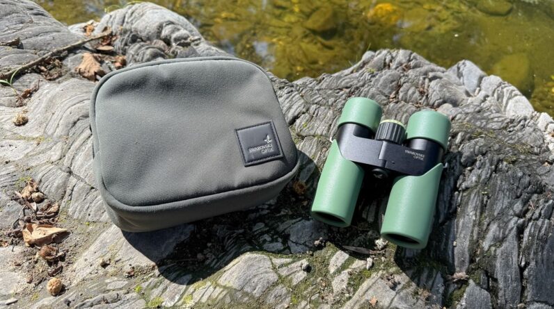 Swarovski CL Companion compact binocular review