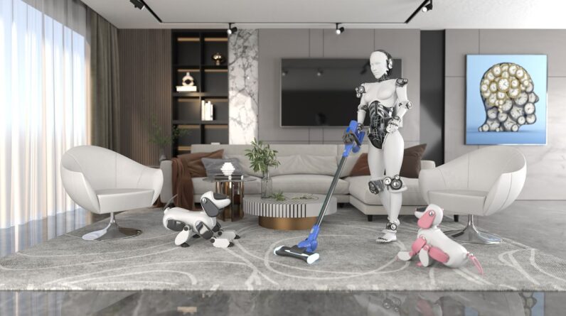 ‘Maybe robots can maintain houseplants’: Readers react to letting humanoid robots take over their housework