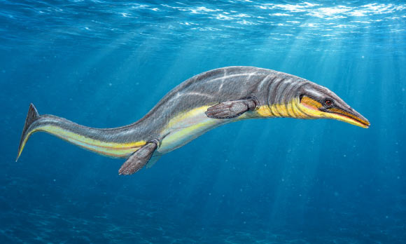 Paleontologists Uncover New Mosasaur Species in Egypt’s Western Desert