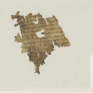 1,700-year-old fragment of the ‘Odyssey’ discovered between pages of Dutch library book