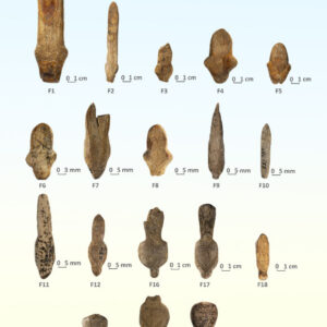 Ice Age Artists Took Cues from Ivory Itself, 18,000-Year-Old Figurines from Ukraine Suggest