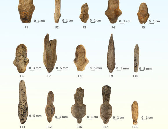 Ice Age Artists Took Cues from Ivory Itself, 18,000-Year-Old Figurines from Ukraine Suggest