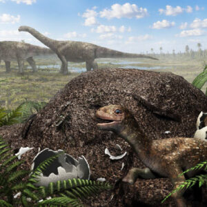 Titanosaurs Nested Far South of Equator, Fossil Eggshells Reveal
