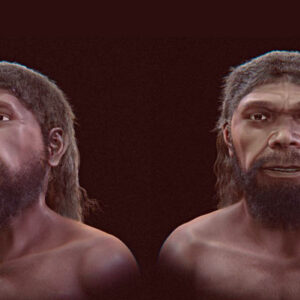 Researchers Reconstruct Face of Oldest Known Homo sapiens