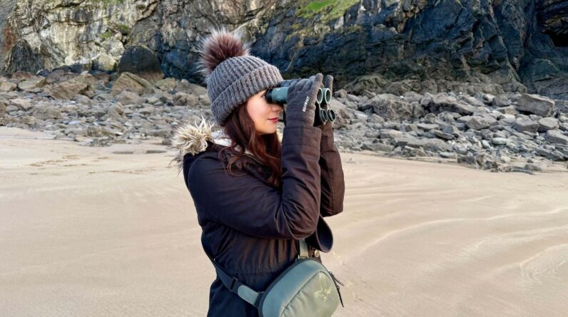 Best binoculars 2026: The ultimate buying guide for birdwatching, stargazing and more