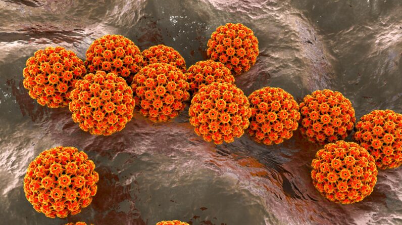 1 in 8 cancer cases are caused by infections, underscoring the importance of vaccines, experts say
