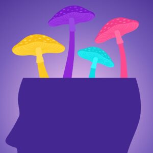 Could psilocybin treat brain injuries? Neuroscientist explains how psychedelics could fill a gap in head trauma care
