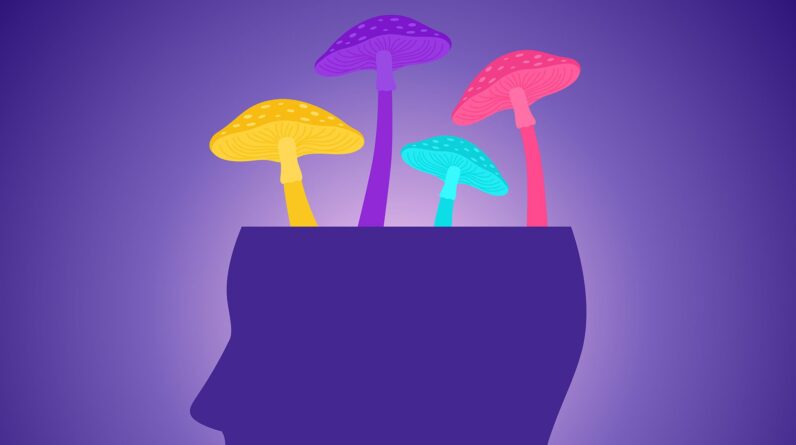 Could psilocybin treat brain injuries? Neuroscientist explains how psychedelics could fill a gap in head trauma care