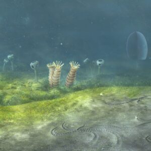Animals may have evolved 200 million years earlier than previously thought, new study suggests
