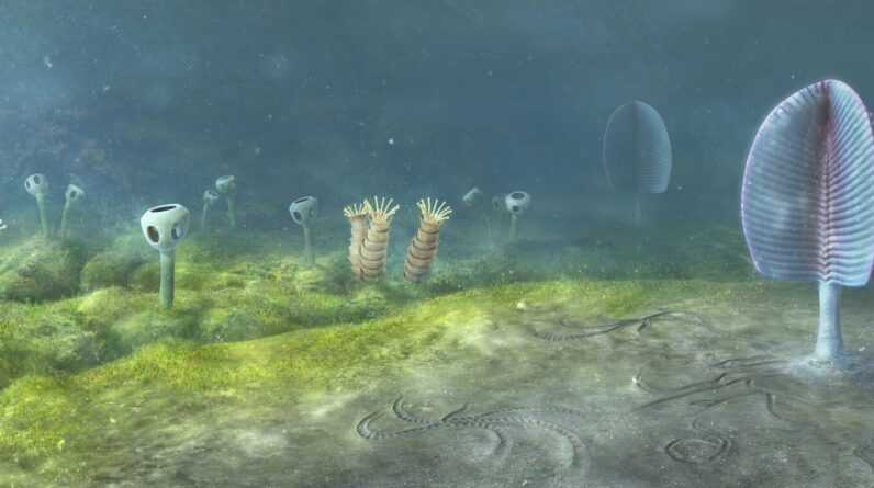 Animals may have evolved 200 million years earlier than previously thought, new study suggests