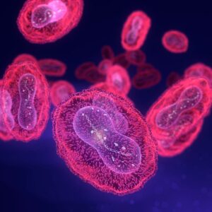 ‘Mpox has not disappeared’: Why the infectious disease is still spreading in the US and may be here to stay