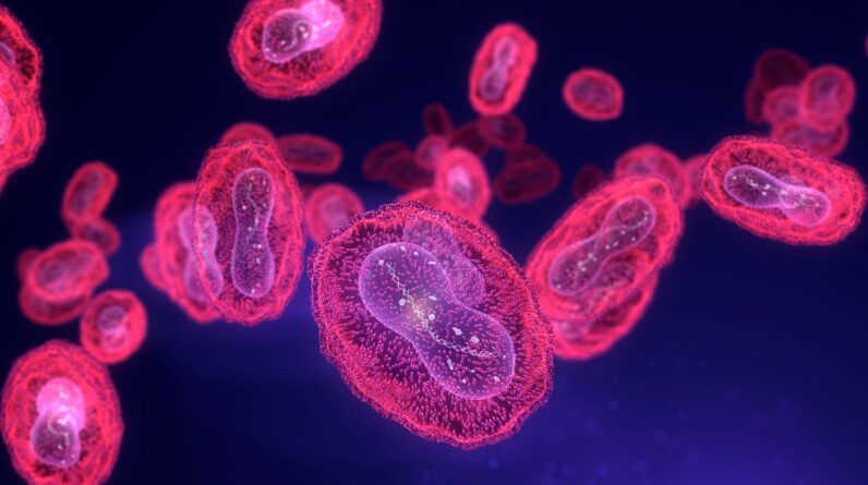 ‘Mpox has not disappeared’: Why the infectious disease is still spreading in the US and may be here to stay