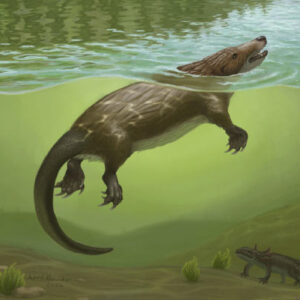 Jurassic Fossil Shows Mammal-Like Throat Evolved Far Earlier Than Thought